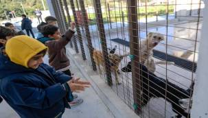 Çocuklara hayvan sevgisi kazandırılıyor