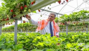 İzmir Büyükşehir Belediyesi üreticiye desteğini sürdürdü 