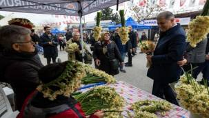 8. Karaburun Nergis Festivali başladı