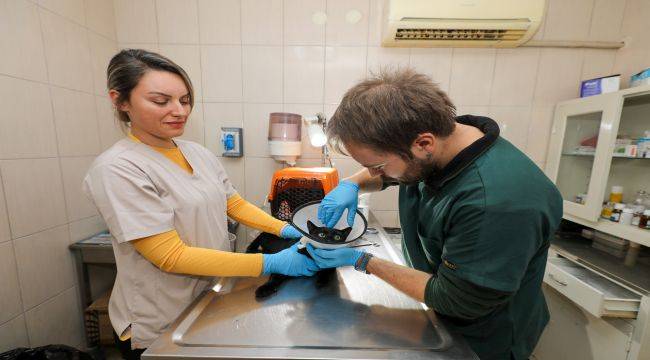 Gaziemir Belediyesi'nden can dostlara uzanan sevgi eli