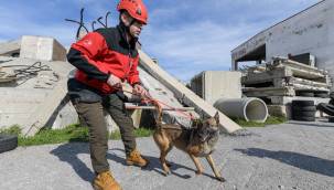 Afetzede hayvanlar için ilçelere arama kurtarma eğitimi