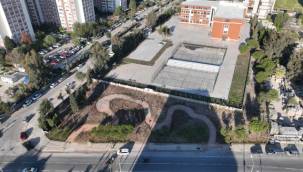 Betonun arasından orman çıktı