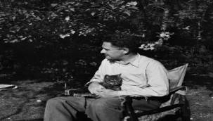 Nâzım Hikmet'in yaşamına çok katmanlı bir yolculuk
