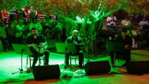 Zeytin ağacının altında "Gece Makamı" ezgileri
