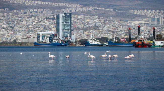 İzmir'in iklim deneyimi Avrupa'ya taşınacak