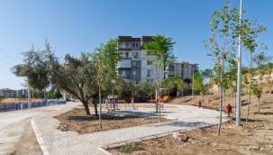 İzmir'in mahalle ruhu "yeşil dönüşümle" canlanıyor